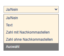 Dropdown mit Antworttypen (Ja/Nein, Text, Zahl, Auswahl)
