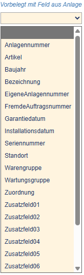 Liste mit Anlagenfeldern zur Vorbelegung